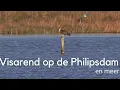 Download Lagu Visarend langs de Philipsdam #1503