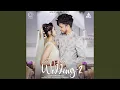 Lagu Teri Meri Wedding 2