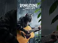 Download Lagu iPhone Ringtone 🔥🔥 john cat calling #ringzone  #shorts #ringtone #cat #iphoneringtone #viral