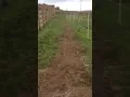 MUDCONTROL slabs - 3 years on