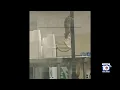Sunrise senior living facility has kitchen shut down after of rodent problem emerges