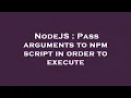 NodeJS Pass arguments to npm script in order to execute
