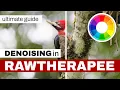 Denoising in RawTherapee Complete Tutorial
