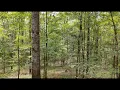 341 Acres of Premium Hunting and Timberland in Copiah County MS