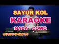 Download Lagu SAYUR KOL - KARAOKE NADA COWO | LIRIK, HD