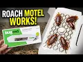 This BugMD Roach Trap Catches More Than Expected