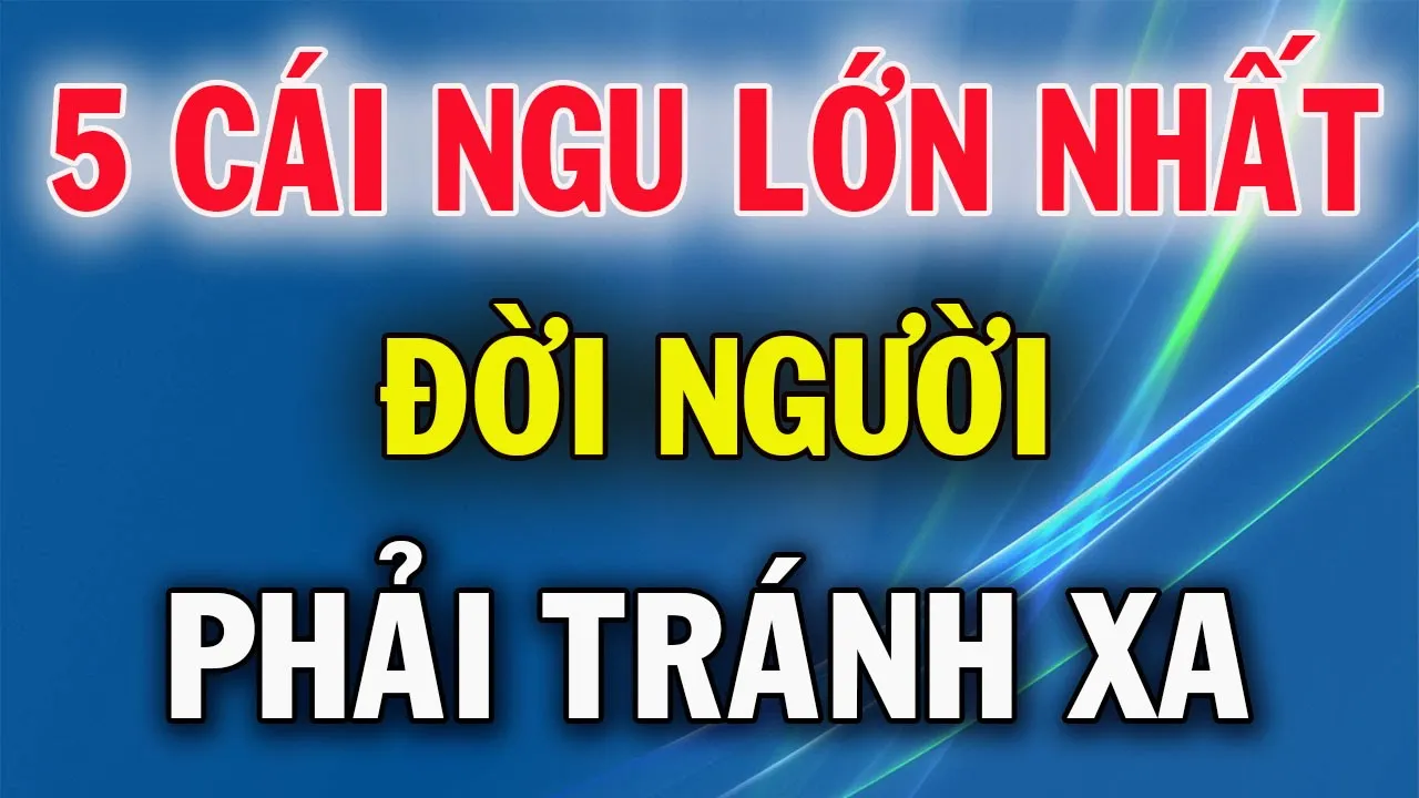 Outline Video 5 Cái Ngu Ở Đời Nên Tránh Càng Xa Càng Tốt