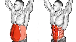 تمرين عضلات البطن تمارين البطن 