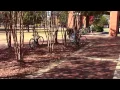 TV Production Final Project - Walker Jenkins