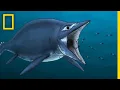Ichthyosaurs 101 National Geographic