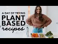 Download Lagu Zack rates my plant based cooking | Vegan recipes