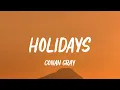 Download Lagu Conan Gray - Holidays (Lyrics)