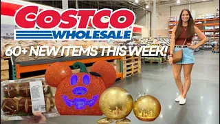 60 NEW FINDS THIS WEEK CHRISTMAS IS ALREADY AT COSTCO More Fall Household Beyond
