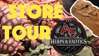 Reptile Store TOUR AE Herps and exotics
