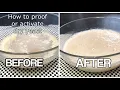 BASIC FOR BEGINNERS HOW TO ACTIVATE YEAST RIGHT WAY TO ACTIVATE THE DRY YEAST