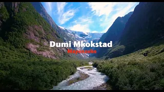 dumi mkokstad mayenzeke official lyric video
