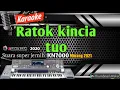 Download Lagu KARAOKE MINANG REMIX || RATOK KINCIA TUO