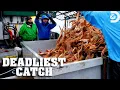 Captain Sophia s Quest for a Slice of the 14 Million Fishery Deadliest Catch Discovery