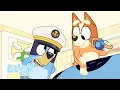 Download Lagu Happy Blue-Year! 🎊 💙 | Moments of Celebration | Bluey