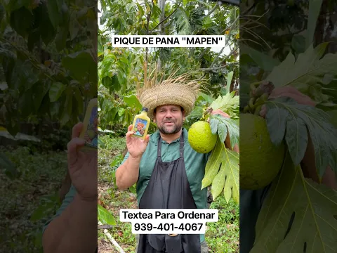 PIQUE DE PANA "MAPEN"