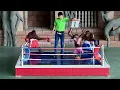 Lagu Funny Monkey Show - Orangutan Monkey Boxing | Phnom Penh Safari Cambodia