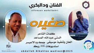 الفنان ودالبكري اغنية صغيره New2025 