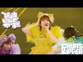 Lagu 【ライブ映像】FRUITS ZIPPER「ぴゅあいんざわーるど」📍日本武道館