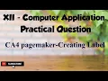 XII Computer Applications Practical Question - CA4