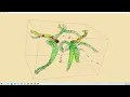 VTK Python Example - CarotidFlowGlyphs