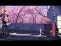 Download Lagu Sakura Rain | #Sakura Lofi 1 Hour Music Mix For Blossoms in fall