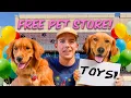 My Dogs Opened a Free Pet Store