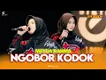 Lagu Meyda Rahma nyanyi Ngobor Kodok di cafe Stetig Space Subang // Suaranya mantapp