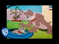 Download Lagu Tom \u0026 Jerry | The Best Father \u0026 Son Duo Ever! | Classic Cartoon Compilation | WB Kids