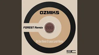 forest mr zee morez u0026 lunch remix 