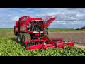 Download Lagu Bieten oogst van start met Holmer HEXX TRAXX van Nieuwenhuyzen Ten Post. 4K.