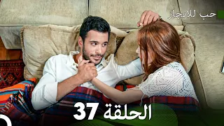 مسلسل حب للايجار الحلقة 37 Arabic Dubbed 