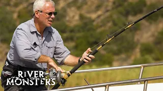 The BIGGEST and HEAVIEST FISH Caught In Each Season Of River Monsters