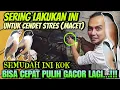 Download Lagu CUKUP LAKUKAN INI SAJA ⁉️ CENDET MACET DAN STRES CEPAT PULIH JADI GACOR DAN BONGKAR ISIAN