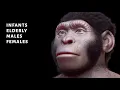 Homo Naledi - New Questions On Human Evolution