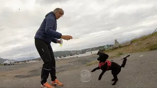 Boblefest! Lurka leker ved Dyrøy båtforenings gjestebrygge