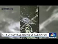 City of Coppell warns of Alligator sightings