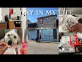 A DAY IN MY LIFE AS A VET ASSISTANT
