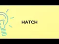 What is the meaning of the word HATCH