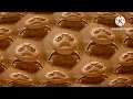 A Bug s Life Trailer 1 1995