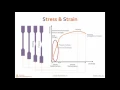 Young s Modulus Elastic Modulus