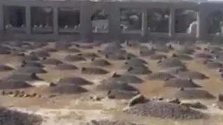نشيد الفناء دندنها