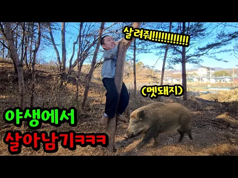 Video Thumbnail: 야생에서 살아남기 대결ㅋㅋㅋ