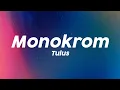 Download Lagu Tulus - Monokrom (Lirik Lagu)