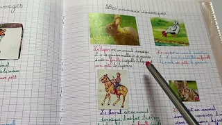 مشروع الوحدة 5 الحيوانات الأليفة والمتوحشة بالفرنسية المستوى الثاني 