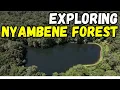 Lagu Exploring Nyambene Forest | MERU County
